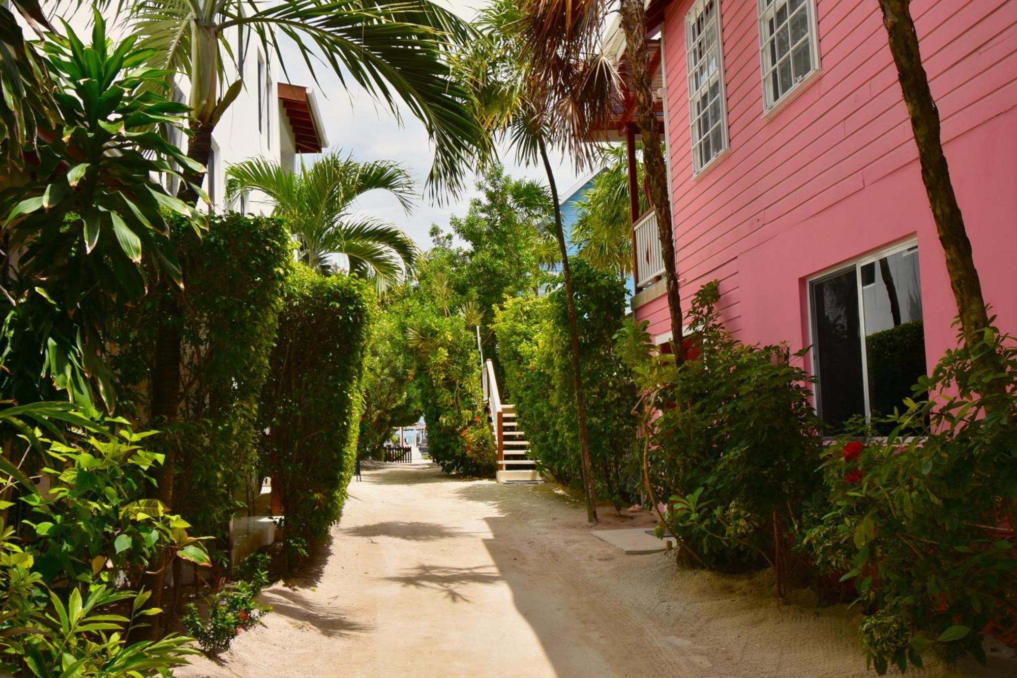 Palmetto Garden Cottage Caye Caulker Luaran gambar